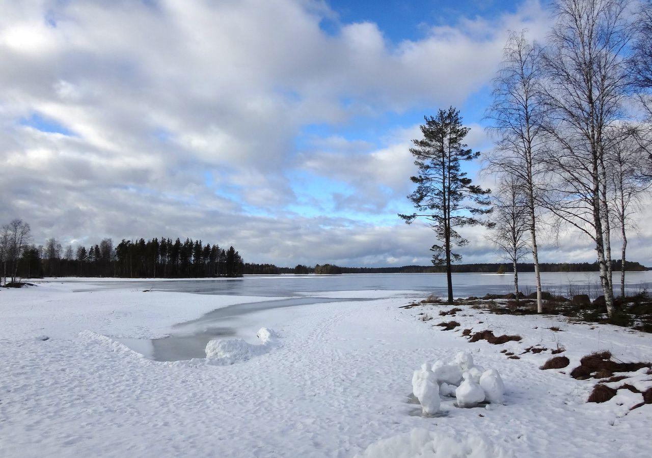 Tiiringolf Cottages Nilsiä Exterior foto